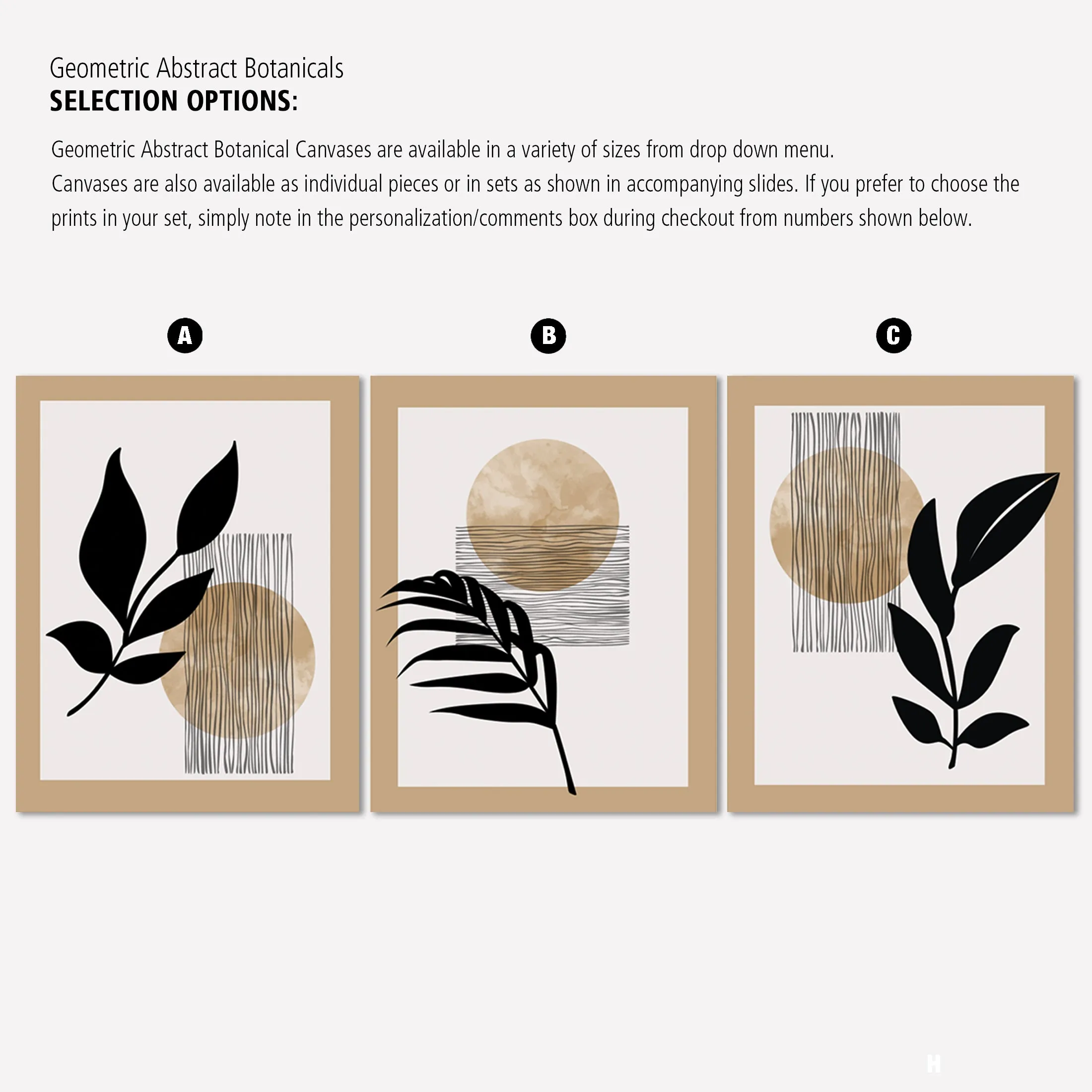 Geometric Abstract Botanicals on Canvas