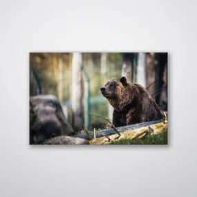 Happy Bear - Print