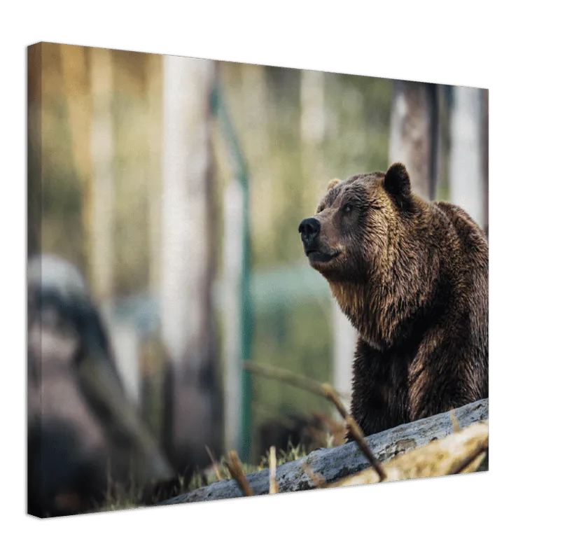 Happy Bear - Print
