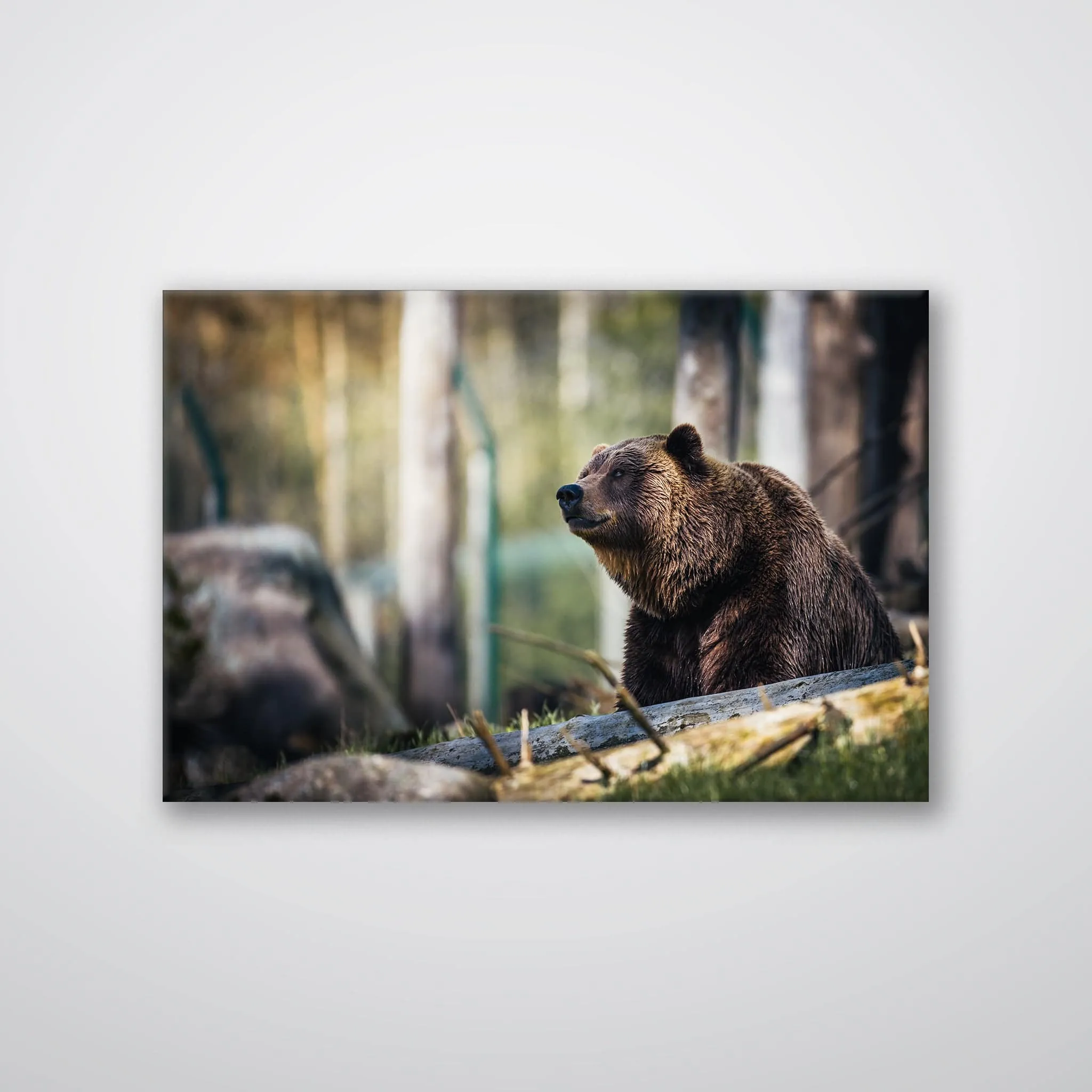 Happy Bear - Print