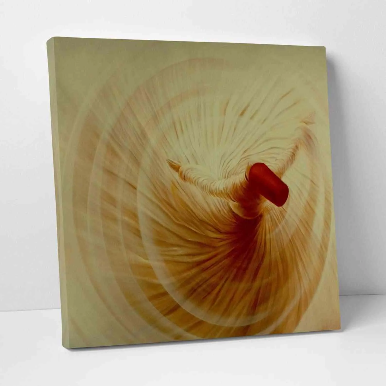 Whirling Dervish - Islamic Canvas Printing Wall Decor